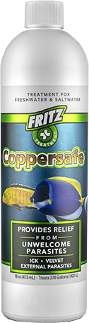 FRITZ COPPERSAFE