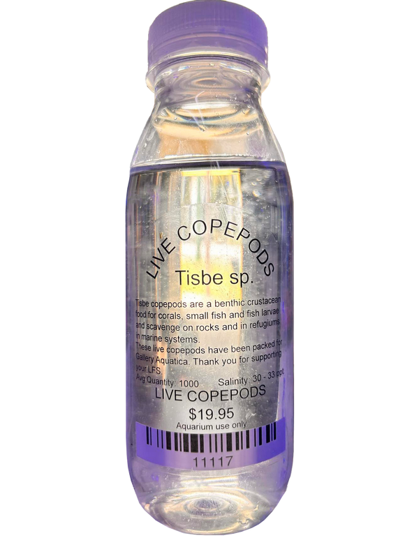 LIVE COPEPODS